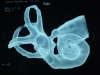 3dct-paulosesign1