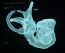 3dct-paulosign