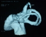 3dct-paulosign5