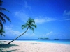 beach2