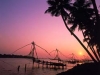 cochin-china-net