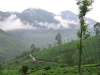 hill-station