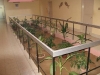 courtyard2
