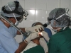 2-laser-excision-ulcer-tongue-web