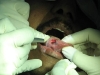 4-laser-tongue-web