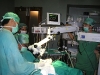 mastoid surgery5