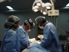 rhinoplasty