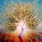 burning bush