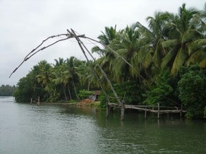 chia net