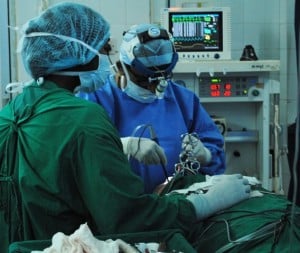 coblation adenoidectomy2