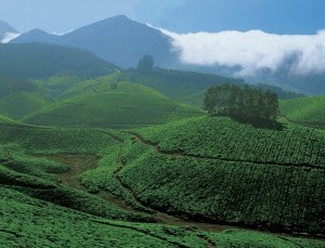 green hills