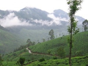 hill station